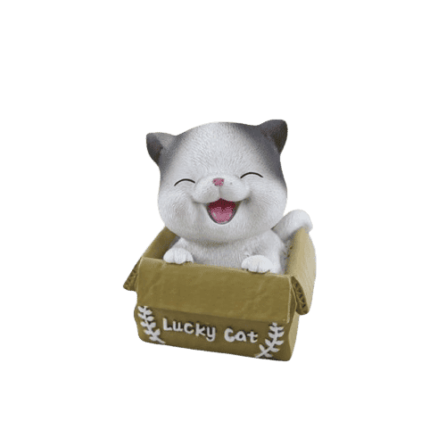 Malá Kočičí Pokladnička