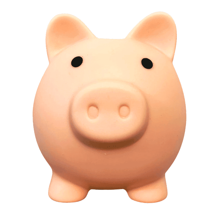 Pokladnička Na Peníze Animal Crossing