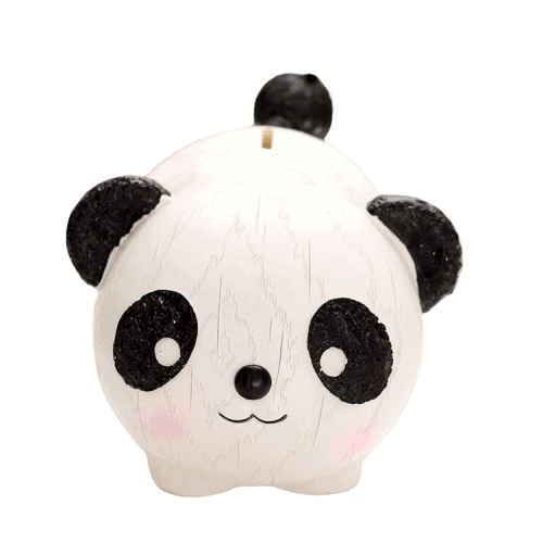 Plastová Pokladnička Na Peníze Panda